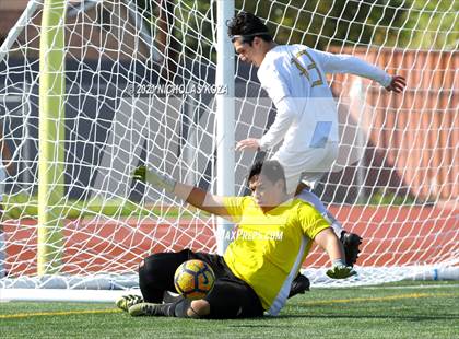 Thumbnail 1 in Warren vs. Lynwood photogallery.