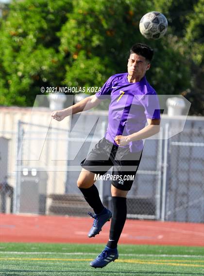 Thumbnail 3 in Warren vs. Lynwood photogallery.