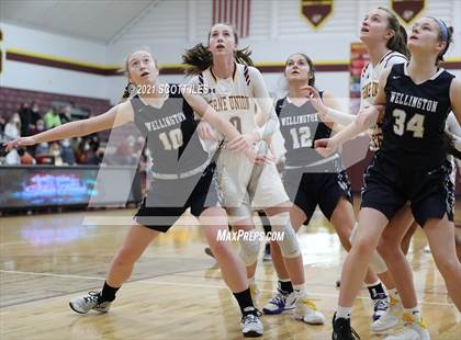 Thumbnail 1 in Wellington School vs Berne Union (OHSAA D4 Sectional Playoff) photogallery.