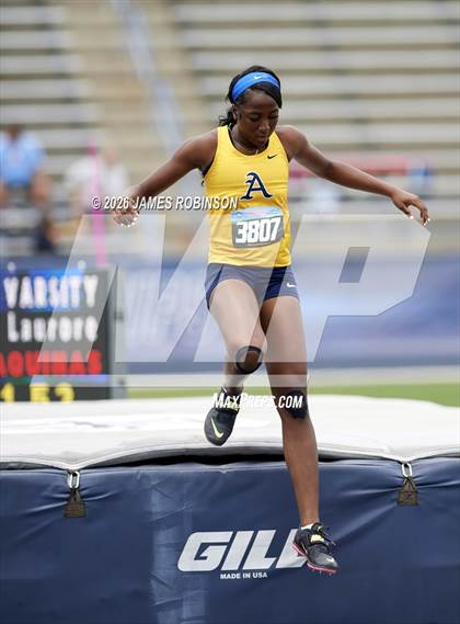 Thumbnail 1 in FHSAA Class 4A Final (High Jump) photogallery.