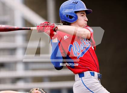 Thumbnail 1 in Walton @ Lassiter photogallery.