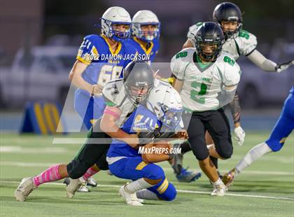 Thumbnail 2 in JV: Moapa Valley @ Virgin Valley photogallery.