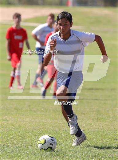 null - Photo 11