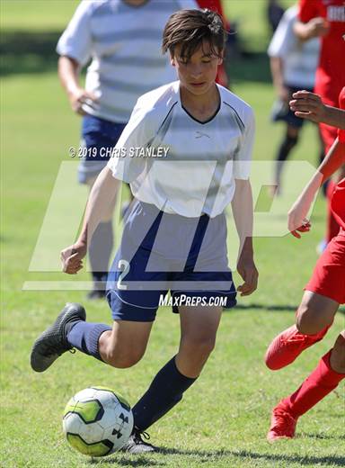 null - Photo 01