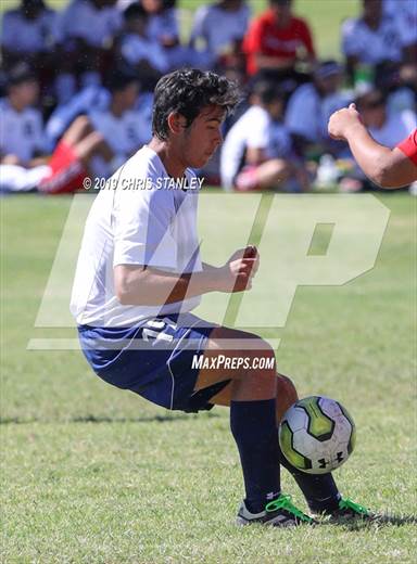 null - Photo 01