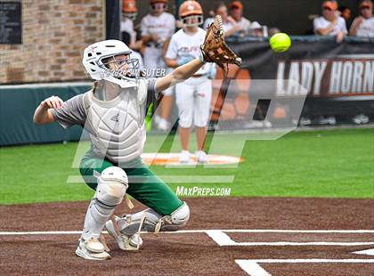Thumbnail 2 in Caldwell vs Taylor photogallery.