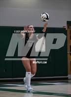 Photo from the gallery "Yorktown @ Westfield"