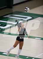 Photo from the gallery "Yorktown @ Westfield"