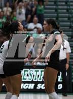 Photo from the gallery "Yorktown @ Westfield"