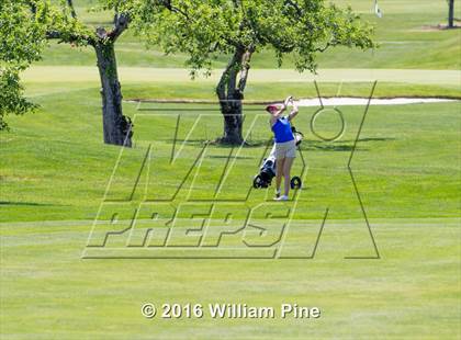 Thumbnail 1 in Section  9 Championship (Day 1) photogallery.