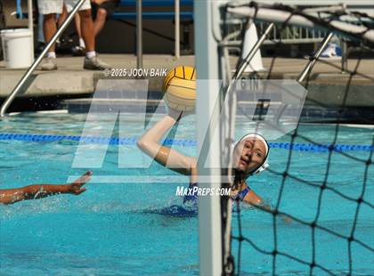 Thumbnail 2 in Castro Valley @ Encinal (Battle of the Bay) photogallery.