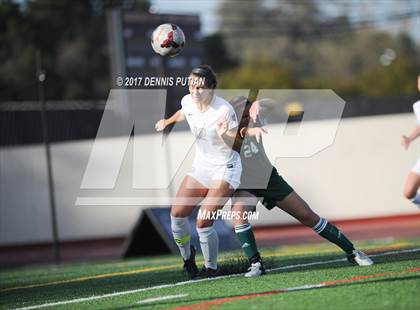 Thumbnail 2 in Palo Alto @ Archbishop Mitty photogallery.