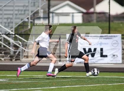 Thumbnail 3 in Millville @ Milton photogallery.