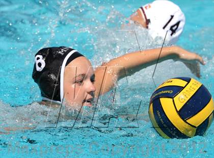 Thumbnail 2 in Archbishop Mitty vs Clovis West (St. Francis Invitational) photogallery.