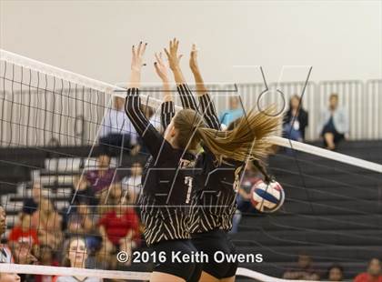 Thumbnail 3 in The Colony @ Creekview photogallery.