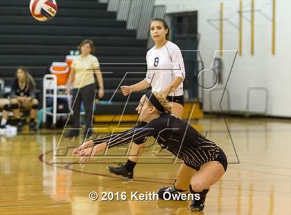 Thumbnail 3 in The Colony @ Creekview photogallery.