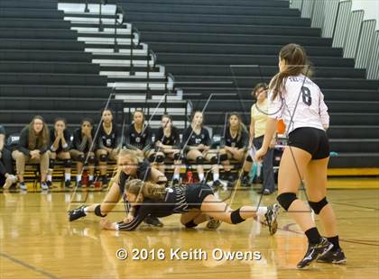 Thumbnail 3 in The Colony @ Creekview photogallery.