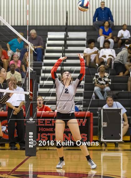Thumbnail 3 in The Colony @ Creekview photogallery.