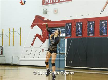 Thumbnail 3 in The Colony @ Creekview photogallery.
