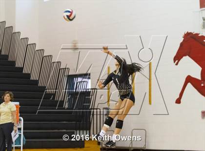 Thumbnail 2 in The Colony @ Creekview photogallery.