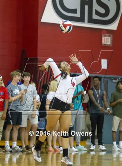 Thumbnail 3 in The Colony @ Creekview photogallery.