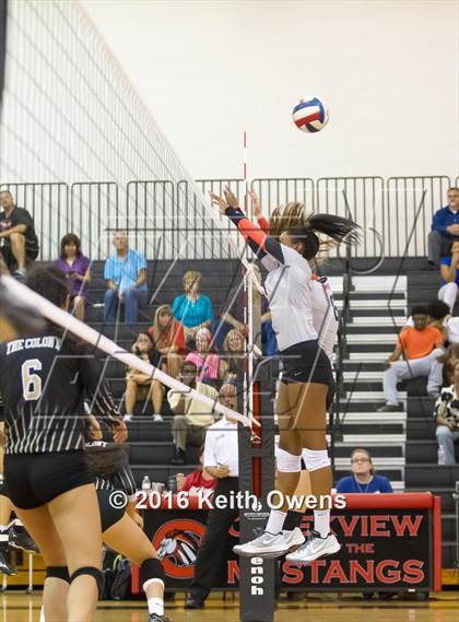 Thumbnail 3 in The Colony @ Creekview photogallery.