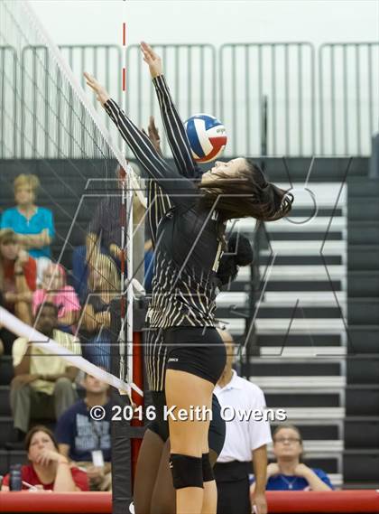Thumbnail 3 in The Colony @ Creekview photogallery.