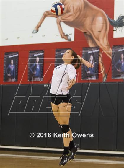 Thumbnail 3 in The Colony @ Creekview photogallery.