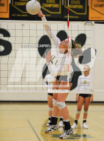 Thumbnail 3 in Corona del Sol @ Horizon photogallery.