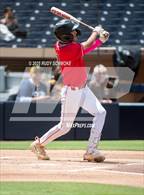 Photo from the gallery "Borrego Springs @ Vincent Memorial (Petco Park)"