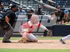Photo from the gallery "Borrego Springs @ Vincent Memorial (Petco Park)"