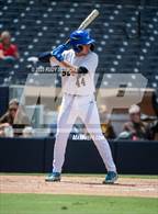 Photo from the gallery "Borrego Springs @ Vincent Memorial (Petco Park)"