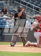 Photo from the gallery "Borrego Springs @ Vincent Memorial (Petco Park)"