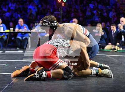 Thumbnail 1 in UIL 6A Championship Finals 144, 150, 157, 165lb photogallery.