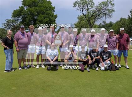Thumbnail 2 in UIL 2A Golf Finals (Awards) photogallery.