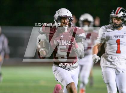 Thumbnail 1 in Penfield @ Aquinas Institute (NYSPHA Section V Class AA Quarterfinals) photogallery.
