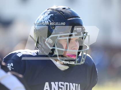 Thumbnail 3 in Naugatuck @ Ansonia photogallery.