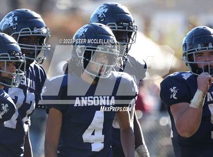 Thumbnail 3 in Naugatuck @ Ansonia photogallery.