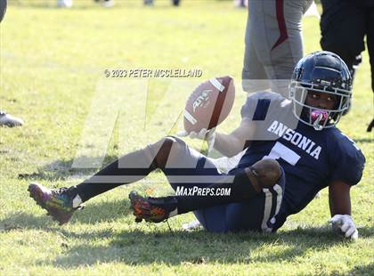Thumbnail 1 in Naugatuck @ Ansonia photogallery.