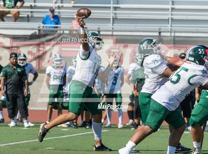 Thumbnail 2 in 'Aiea @ Palos Verdes photogallery.
