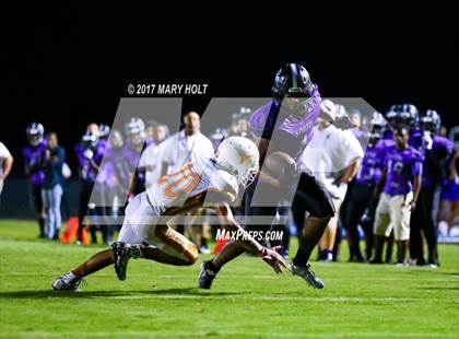 Thumbnail 1 in Lennard vs. Spoto photogallery.