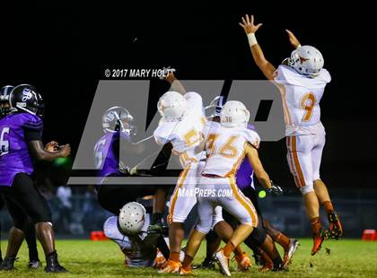 Thumbnail 1 in Lennard vs. Spoto photogallery.