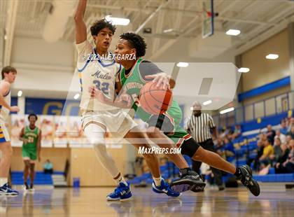 Thumbnail 3 in Sam Houston @ Alamo Heights photogallery.