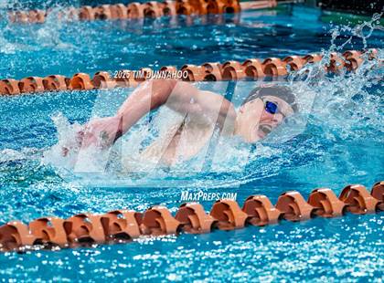 Thumbnail 1 in UIL 5A Swimming & Diving Finals (Swim) photogallery.
