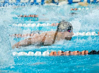 Thumbnail 1 in UIL 5A Swimming & Diving Finals (Swim) photogallery.