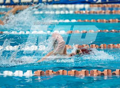 Thumbnail 3 in UIL 5A Swimming & Diving Finals (Swim) photogallery.
