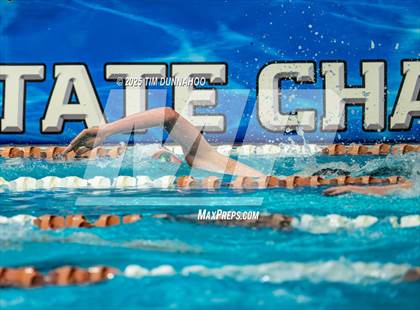 Thumbnail 1 in UIL 5A Swimming & Diving Finals (Swim) photogallery.