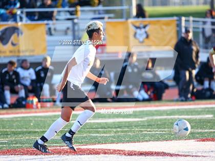 Thumbnail 3 in Watsonville @ Whitney (CIF NorCal Finals) photogallery.