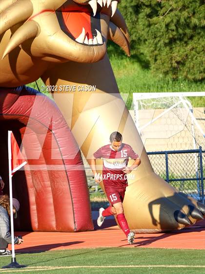 Thumbnail 3 in Watsonville @ Whitney (CIF NorCal Finals) photogallery.