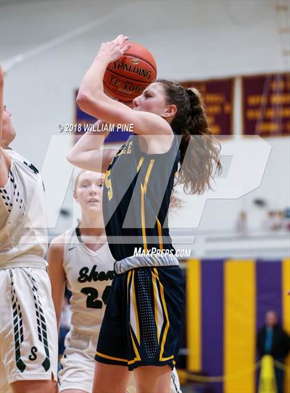 Thumbnail 2 in West Genesee vs. Shenendehowa (Amsterdam Holiday College Showcase) photogallery.